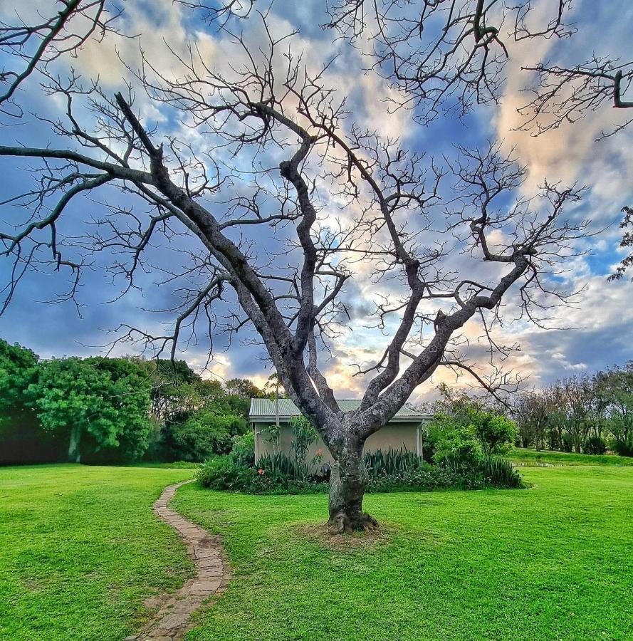 Vila Oppieplaas Country Estate Haga Haga Exteriér fotografie