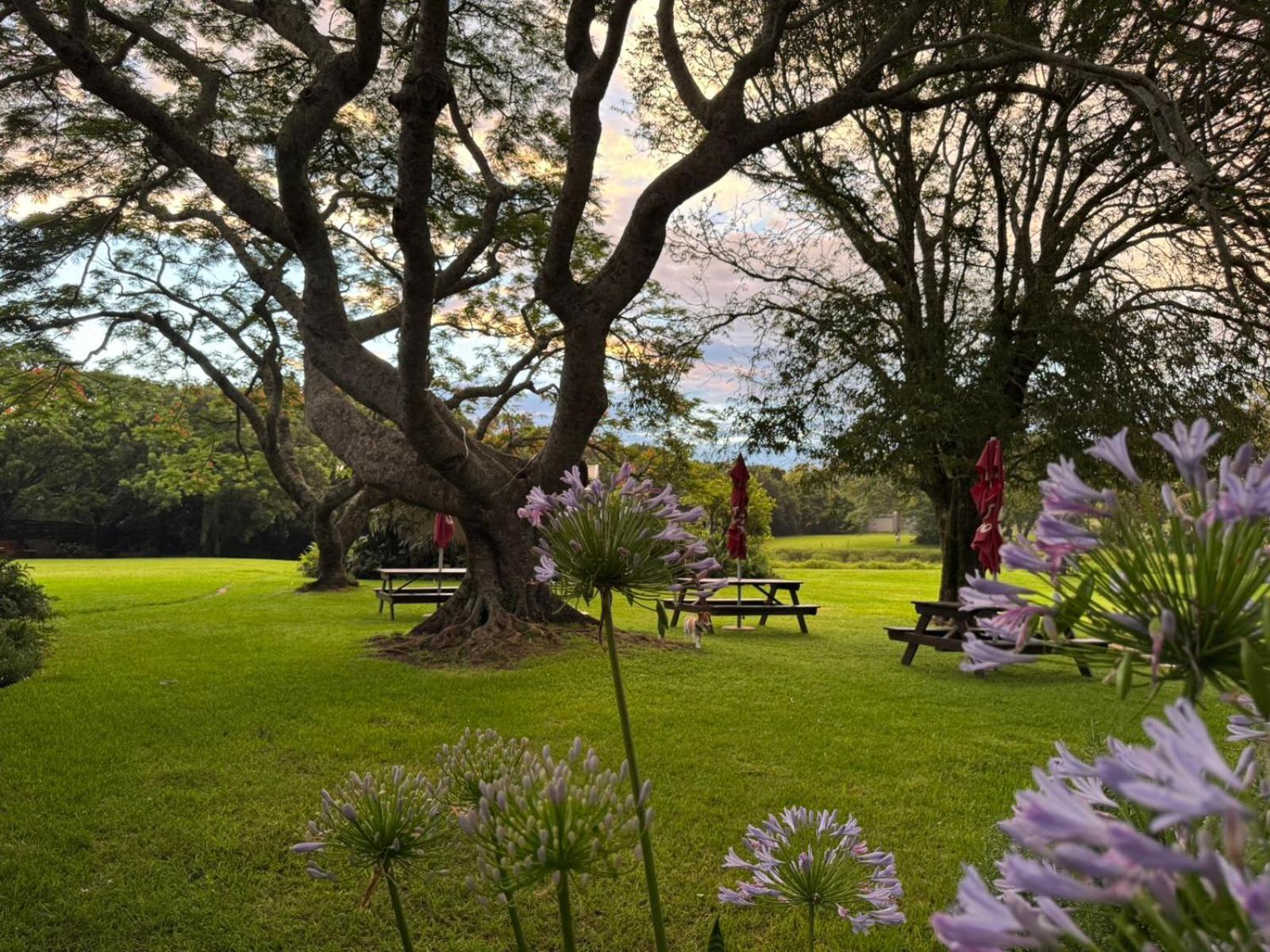 Vila Oppieplaas Country Estate Haga Haga Exteriér fotografie